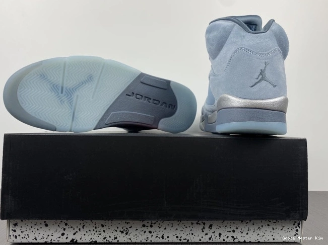 Bluebird 5 Air Jordan Retro DD9336-400 (W) 0529